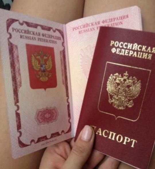 прописка в Порхове